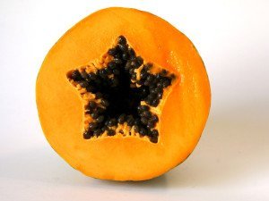 papaya