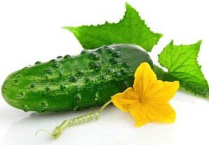 cucumber