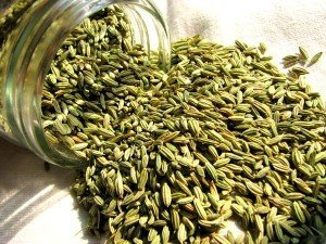 fennel-seeds-538147