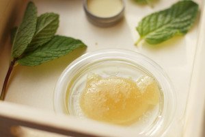 mint lip scrub