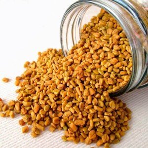 fenugreek