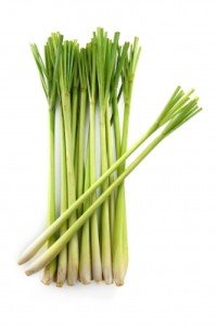 Lemongrass