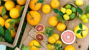 citrus fruits.