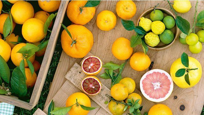 citrus fruits.