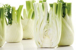 Fennel