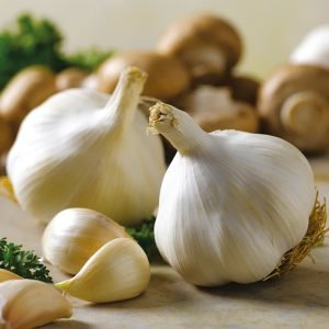 Garlic