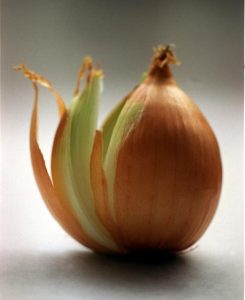 Onion peel