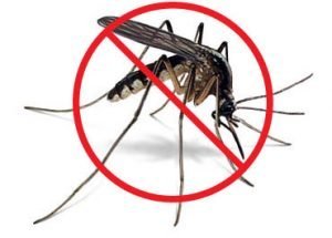 Get rid of mosquitoes