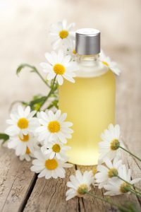 Chamomile oil