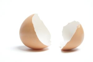 Egg Shells on White Background