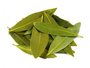 bay-leaves