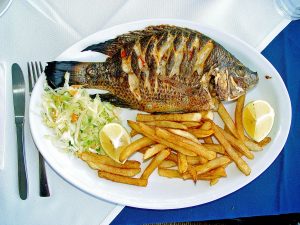 1200px-Tilapia_zillii_Kineret[1]