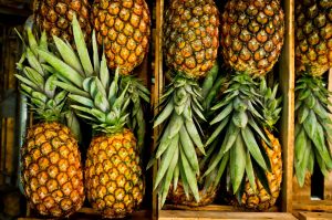 high-angle-view-of-pineapples-in-crate-587191515-581101da5f9b58564c6a87df[1]